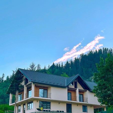 Silver Mountain Villa Colibiţa 외부 사진