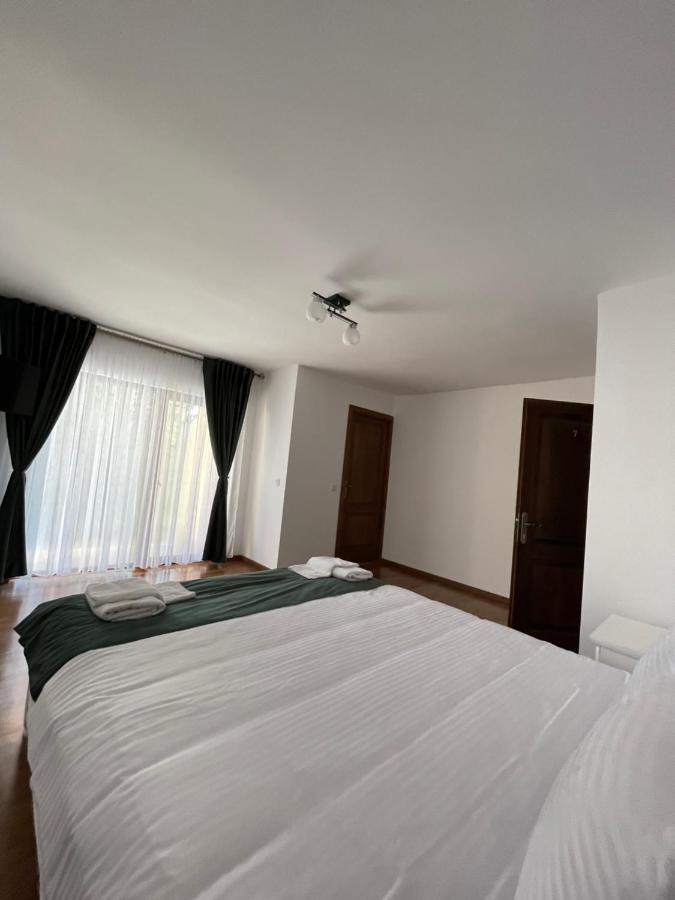 Silver Mountain Villa Colibiţa 외부 사진